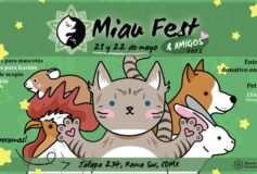 MIAU Fest, el festival para ayudar a gatitos en la CDMX😻