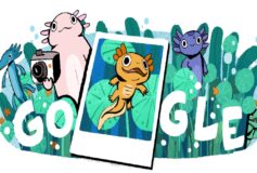 Google lanza se inspira en Lago de Xochimilco y al ajolote mexicano para su  Doodle interactivo