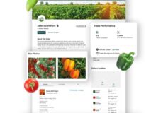 Ahora podrás comprar productos agrícolas frescos  online, directo del productor
